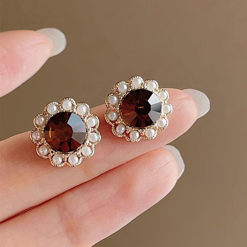 Maillard Coffee Color Amber Earrings Women's Autumn and Winter High-end Commuter Style Earrings Light Luxury Niche Design Earrings