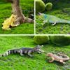 TOYMANY 12PCS Animal Figures Wild Animal Figure Set Realistic Animal Models Zoo Theme Popular Animals Toys Birthday Present Decoration Christmas New Y