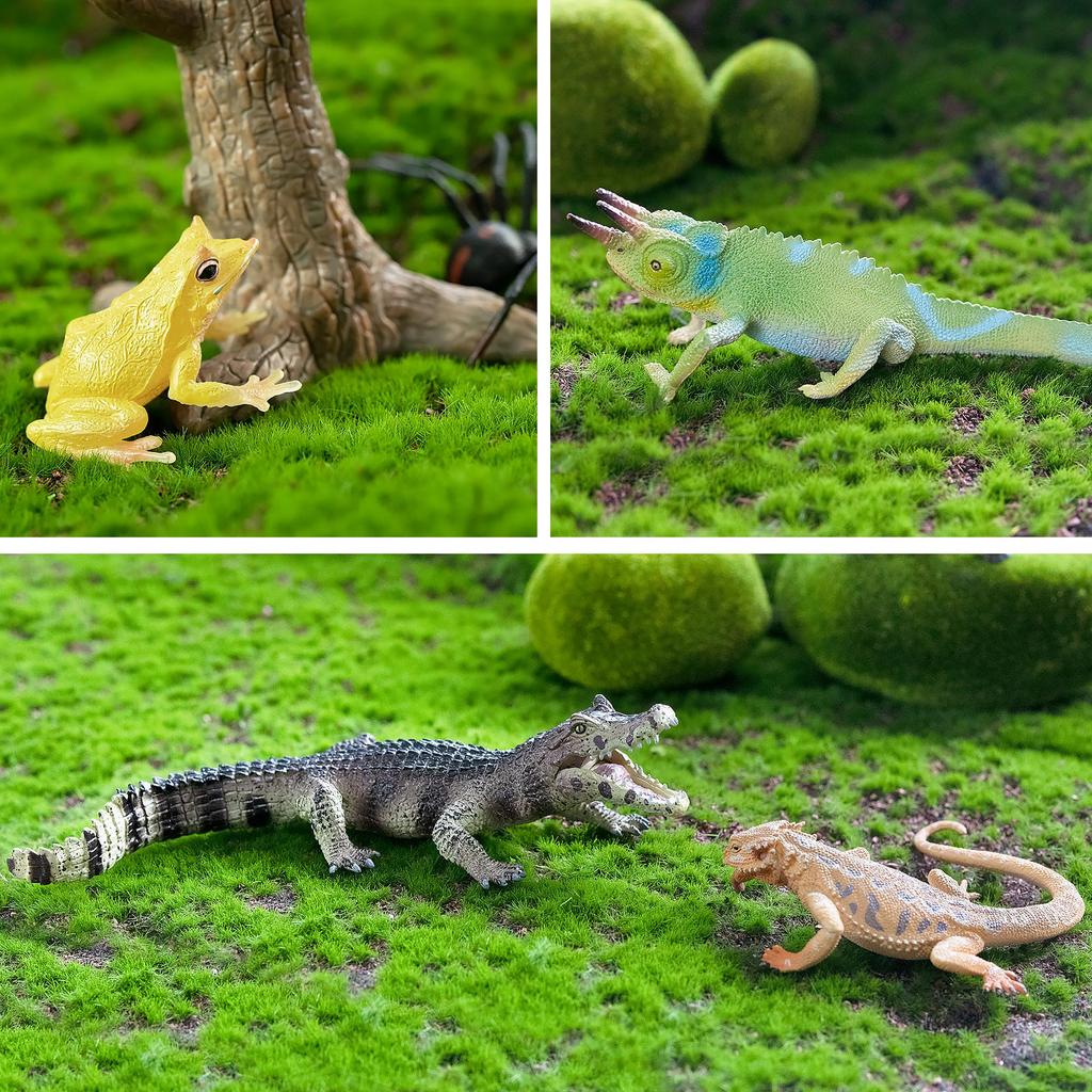 TOYMANY 12PCS Animal Figures Wild Animal Figure Set Realistic Animal Models Zoo Theme Popular Animals Toys Birthday Present Decoration Christmas New Y