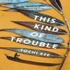 This Kind of Trouble by Tochi Eze Hardback Book 9781529928747