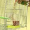 Acrylic Automatic Bird Feeder Transparent Parrot Hanging Feeder  for Small and Medium Parakeets