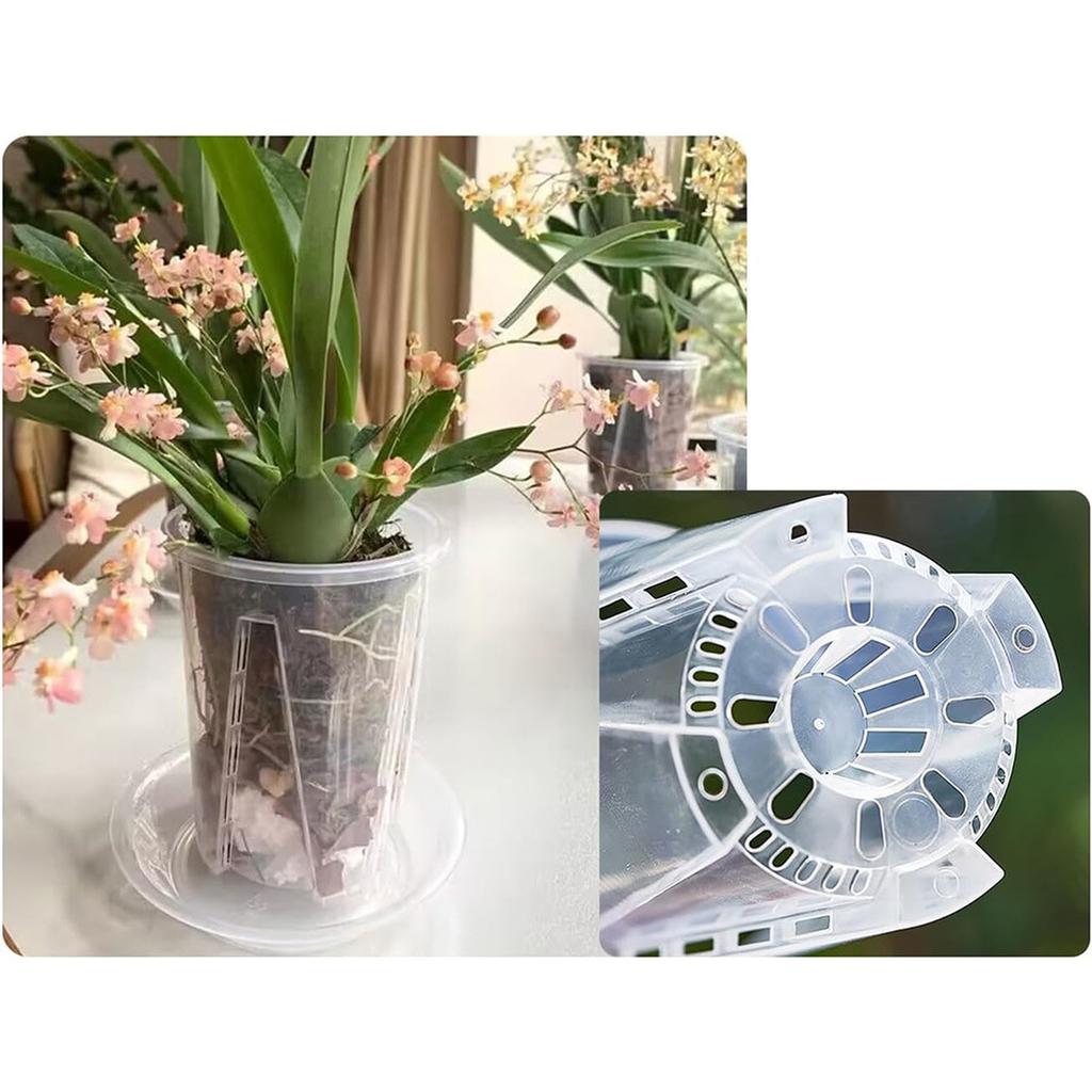 Clear Plastic Orchid Pot with Drainage Holes – Rooting Pot for Phalaenopsis & Moss Plants
