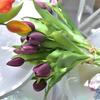 5 Stück Künstlicher Tulpenstrauß Silikon Kunstblumen Partydekoration Wohnzimmer Tisch Mittelstück Blumengesteck Dekoration