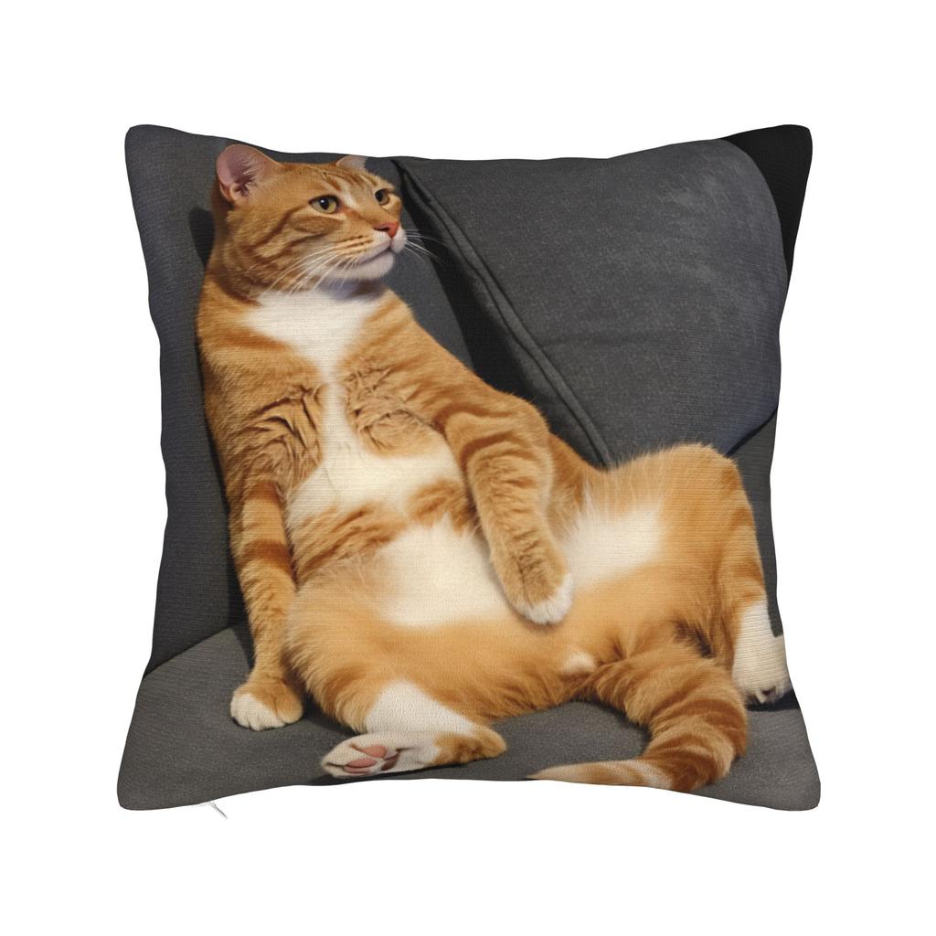 Tabby Cat Pillow Cover Print Cushion Cover Vintage Pillow Case For Sofa Bedroom Home Decor
