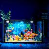 Fischbecken Baustein Set Für Kinder Aquarium Bau-Sets Mit Lichtern Tier Baustein Spielzeug Für Mädchen Und Jungen