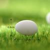 Miniature DIY Building Model: Moss, Micro Landscape Ornaments, Resin Animal & Plant Figures