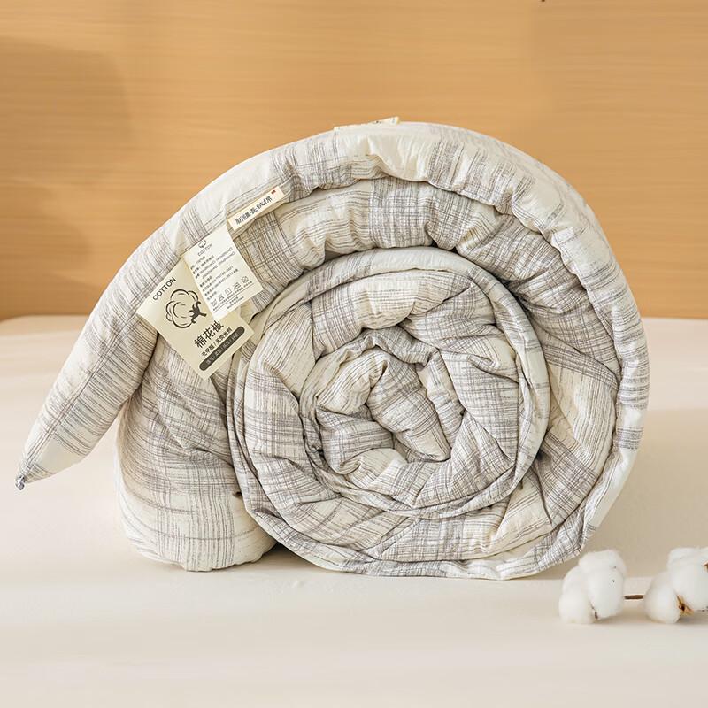 Muji Anti-Bacterial Constant Temperature Fiber Quilt