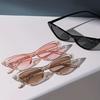 3PCS Dopaamine Cat Eye Frame Glasses Unisex Simple Design for Daily Wear And Photography