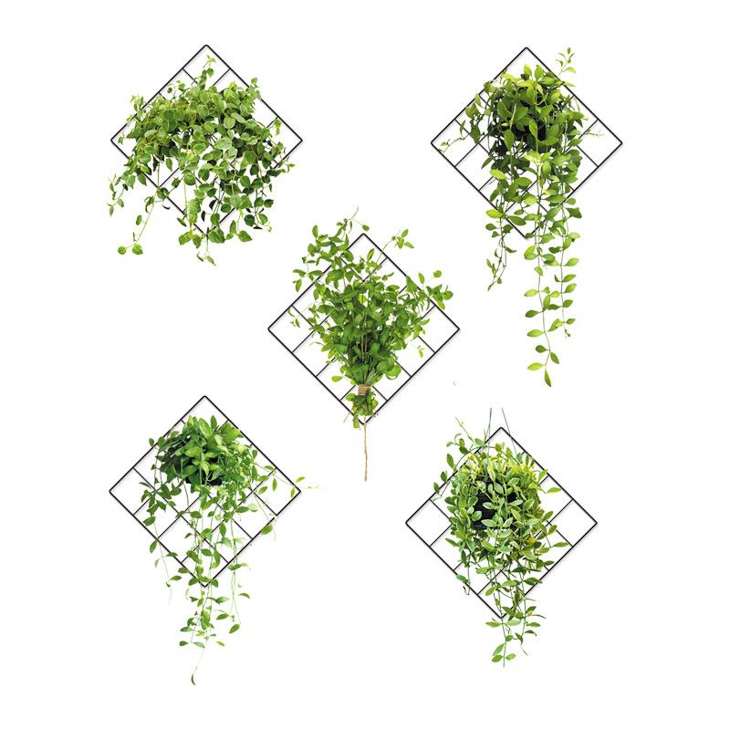 Hanging Orchid Wall Sticker Green Plant Home Decor for Room Balcony Wall Decoration