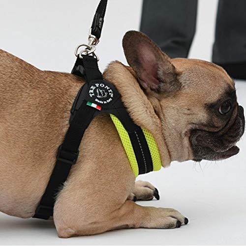 Tre Ponti Fibbia Adjustable Soft Mesh Harness for Dogs, Cushioned and Breathable (LTP123) (Size 4, Green)