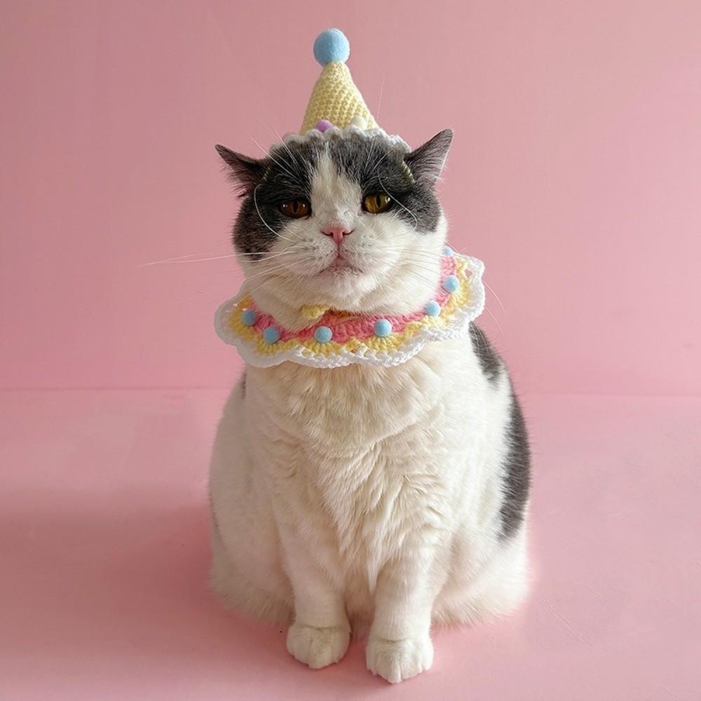 Cute Cat Birthday Hat Pet Birthday Party Dog Accessories New Dog Neck Set for Small Dogs Puppy