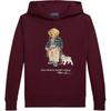 Polo Ralph Lauren Φούτερ FW25 Μοτίβο Εκτύπωσης Μακρυμάνικο με Κουκούλα Παιδικό Παιδικά φούτερ 323979491-001
