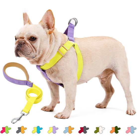 Yousheng Pet Chest Strap Multi-color Anti-escape Adjustable Fashion Pet Harness Traction Leash for Outdoor