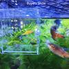 High Transparency Acrylic Aquarium Fish Breeding Isolation Box Fish Aquarium Breeder Hatching Incubator Fish Tank Accessories