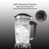 BioloMix T5200 3HP 2200W Minuteur Blender, Fruit Food Mixer Juicer, Capacité 2L.