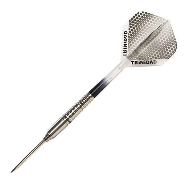 

TRiNiDAD PRO Tapia2 Steel Trinidad Pro Tapia2 Steel Shiori Sato Player Design Model Darts Barrel серебряный