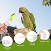 6Pcs Plastic Pet Bird Food Clip Portable Practical Parrot Fruit Vegetable Clip Mini Birds Food Holder Pet Parrot Feeding