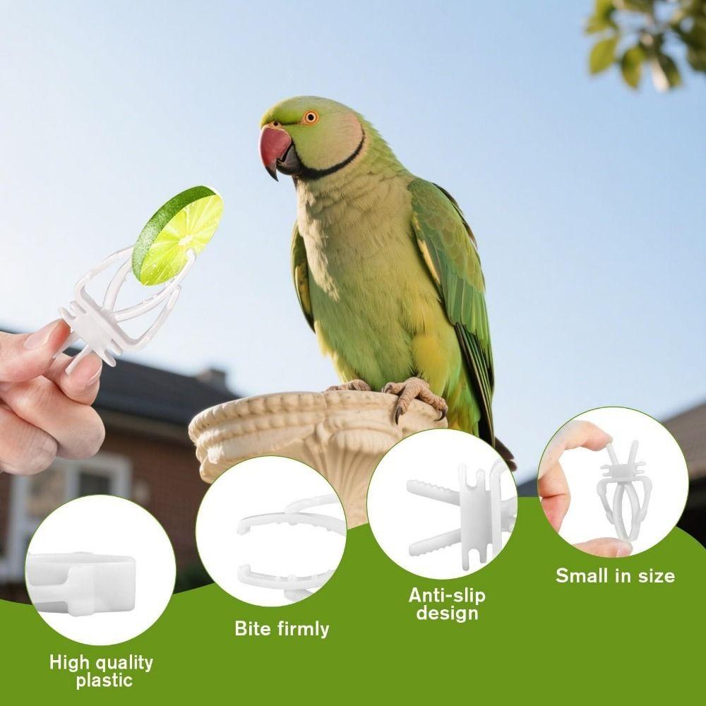 6Pcs Plastic Pet Bird Food Clip Portable Practical Parrot Fruit Vegetable Clip Mini Birds Food Holder Pet Parrot Feeding