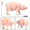 Children's Wildlife Model: Plastic Pig Figurines (Domestic Pig, Large White Pig, Vietnamese Pig, Babirusa, Wild Boar)