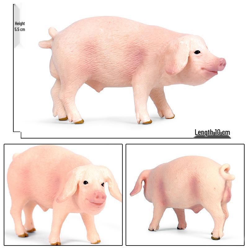 Children's Wildlife Model: Plastic Pig Figurines (Domestic Pig, Large White Pig, Vietnamese Pig, Babirusa, Wild Boar)