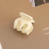 Pumpkin Claw Hair Clip for Women – Bun, Ponytail, and Bangs Fixing Accessory