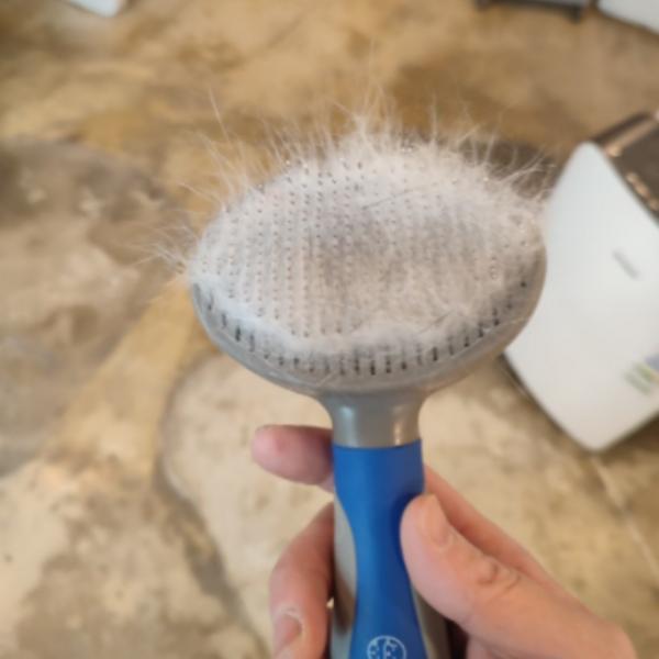 Happy Dog Pet One-Touch Brush, Blue, 1 Piece, Korean Pet Shampoo