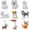 Psí klíčenka Personalizovaná památka na mazlíčka Průhledná akrylová skořápka Corgi Pomeranian Buldok Lehká klíčenka s plemenem psa