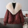 Winter Short Padded Coat Fashionable Youthful Design with Big Fur Collar Warm Cotton Jacket