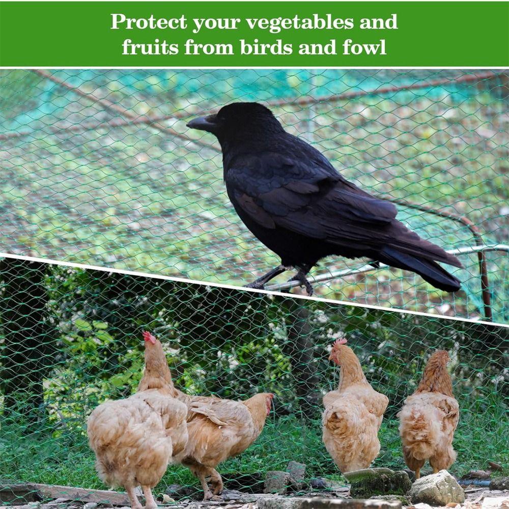 Best Stretch Fence Anti Bird Netting Green Fine Mesh Durable Garden Plant Protection Net