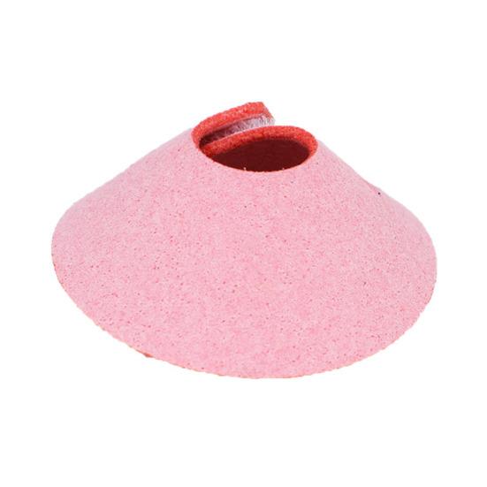 Yousheng Adjustable Parrot Recovery Collar Anti-Biting Injury Protection Fastener Tape Fixing Bird Collar Pet Bird Accessory
