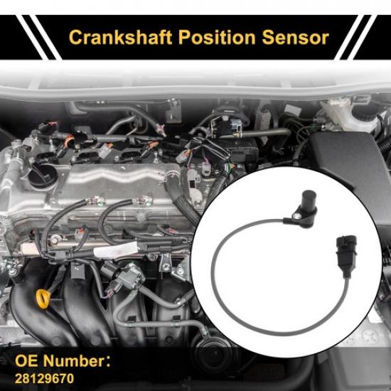 No.28129670 Crankshaft Position Sensor For ISUZU Rodeo 99-03 Crank CKP Sensor