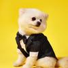 1pc Stripe Patterned Pet Suit 2 in 1 Tuxedo, Suitable for Weddings and Parties