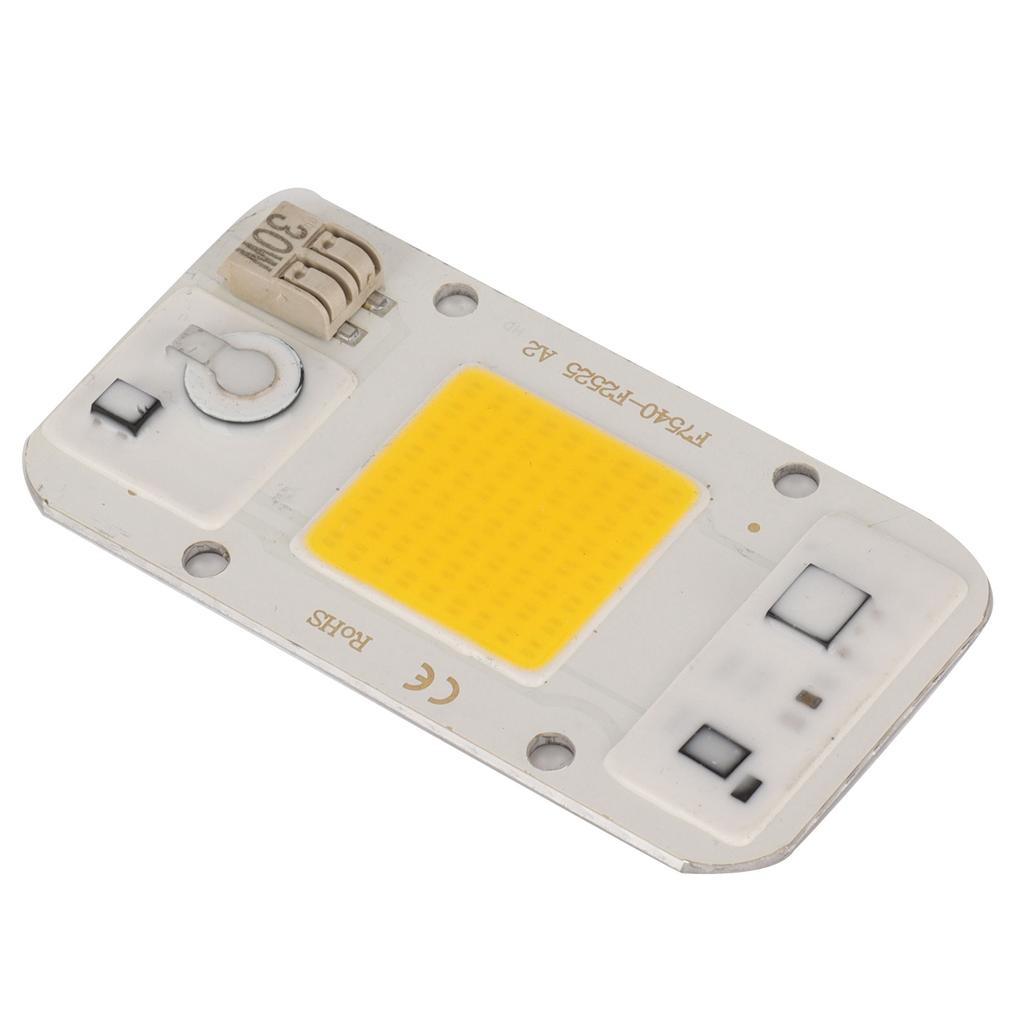 220V High Pressure Free Drive Light Source 30W LED Chip Integrated Lamp Bead for Plant Growth Light