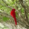Garden Ornament Wedding Supply Artificial Animal  Bird Model Real Feathers Simulation Parrot