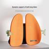 Miqiao Ergonomic Lumbar Support Back Cushion