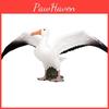 Simulation Animal Wild Albatross Sparrow Bird Model Ornament Toys Children