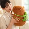 Capybara Stuffed Plush Toys Turtle Backpack Dolls Cute Capybara Plushies Animal Cushions Pillows Companionship Gifts