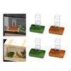 Distributeur d'eau automatique pour reptiles, abreuvoir, gamelle pour nourriture, pour gecko, caméléon