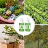 Hydroponic Nutrient Liquid A and B Fertilizer Solution Kit Hydroponic Garden Plant Food Plant Fertilizer For Flowers Vegetables