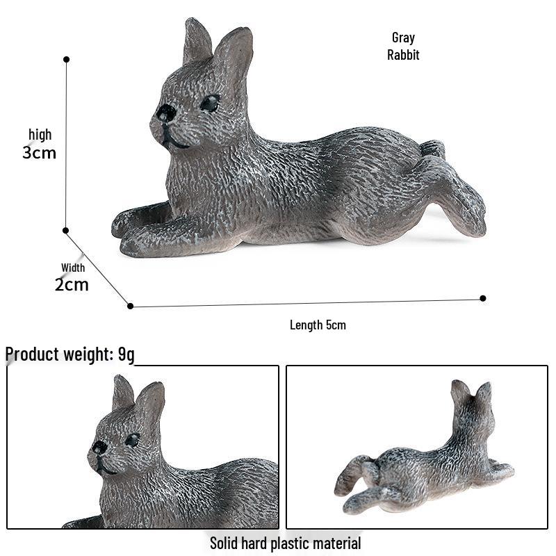 Pediatric Science Educational Toy: Spotted Dutch Rabbit Model