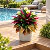 Realistic Artificial Ferns Fern Plant, Autumn Themed Faux Greenery Arrangement, UV Resistant Fake Sunroom Decoration Plants Leaves for Garden