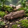 Jardinagem e paisagismo – Decoração de jardim