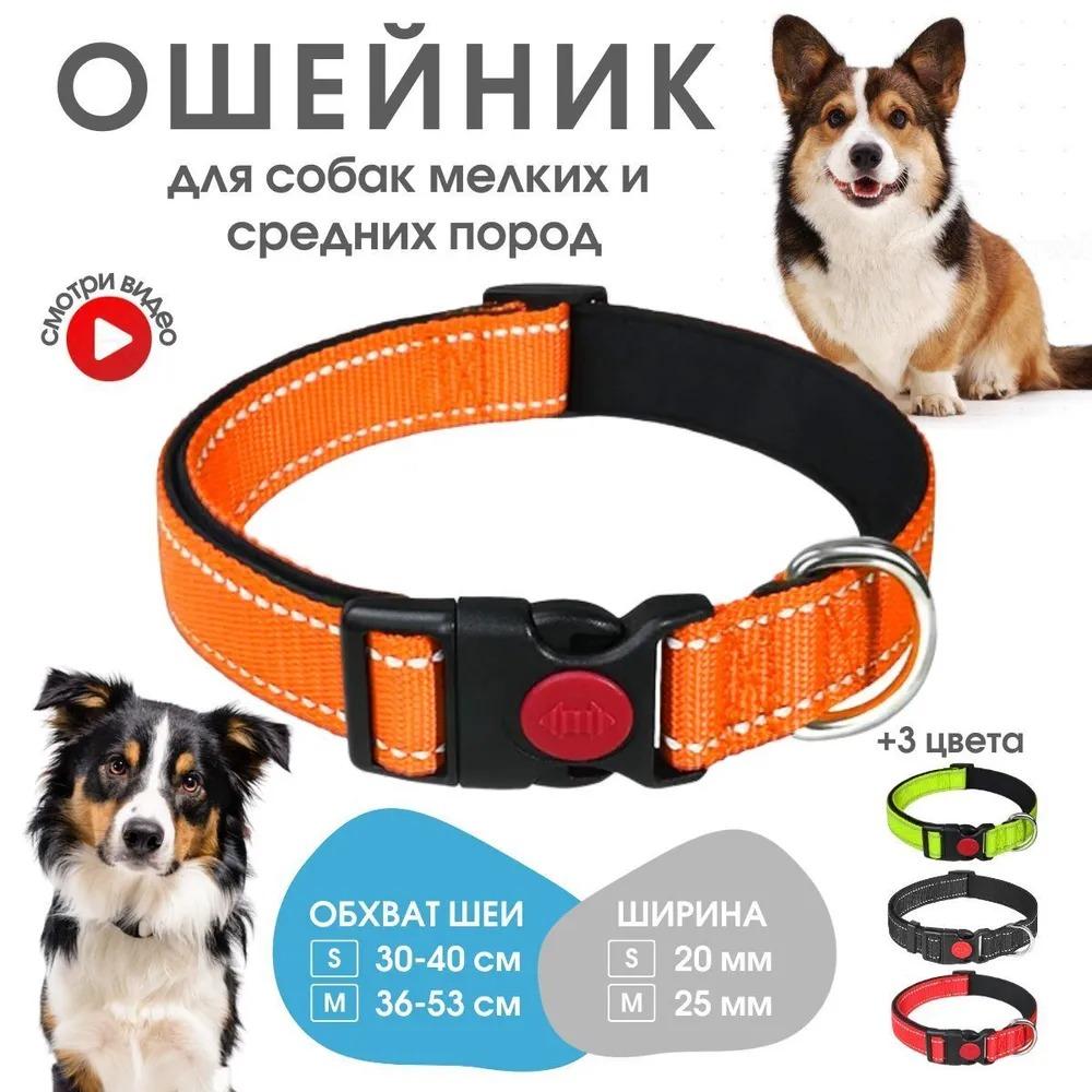 

Прочные и безопасные ошейники для собак с амортизирующим поводком для собак мелких и средних пород. S-2cm*26-36cm