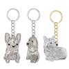 Clear Pet Hair Memorial Storage Box Keepsakes Keychain For Dog Lover Pet Furs Collector Keychain Accessories Gift