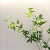 Artificial Bamboo Leaves for Decoration and Photography