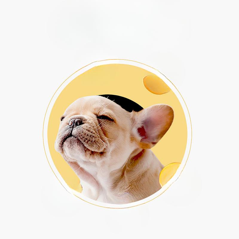 Tier Ohrentropfen 30ml, Ohrenreinigende Tropfen für Hunde, Katzen und Hunde, Ohrenpflege Wasser