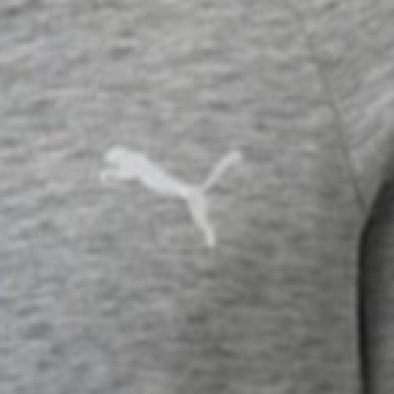 Puma Men S Evo Stripe Full Zip Hoodie Zip Up 589424 03