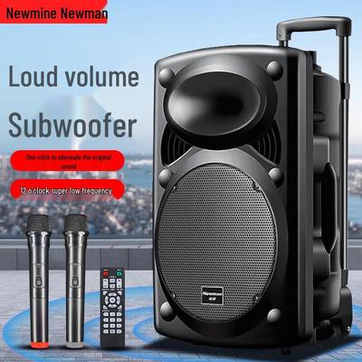 Newman B12 12 ιντσών Φορητό Εξωτερικό Ηχείο Bluetooth Καραόκε με Διπλά Μικρόφωνα Βύσμα CN (περιλαμβάνεται αντάπτορας)
