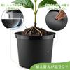 Large 25cm Size Plastic Garden Easy to 2mm Flower Deep Rose 250mm Diameter x 200mm for Balcony Gardening Planter, 5-Piece Set, 8, Planter, Replant,