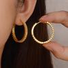 Retro Double Row Zirconia Gold Plated Hoop Earrings – Blogger Style